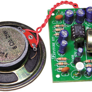 FK672 2 Watt Mono Amplifier With Speaker
