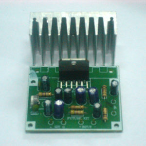 FK607 15Watt BLT Mono Audio Amplifier